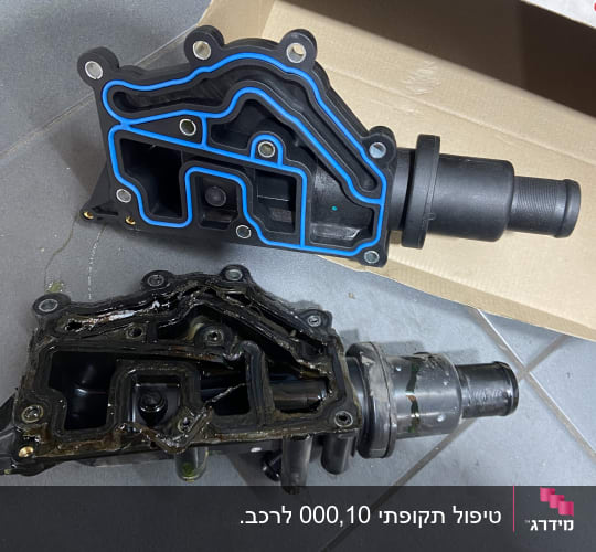שני מוסכים עם אטמים כחולים ושחורים על רצפה אפורה